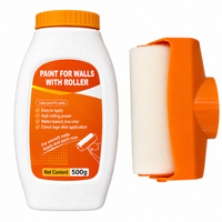 Kit de rouleau de peinture murale DIY avec bouteille de peinture pour la réparation et la rénovation des murs intérieurs