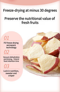 Fruits séchés par congélation <span class=keywords><strong>de</strong></span> haute qualité, sans conservateur, 100% naturels, collation croustillante, pomme séchée par congélation - Product Image 6