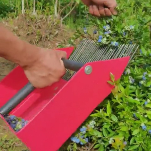 La plus récente machine à récolter les canneberges et les <span class=keywords><strong>myrtilles</strong></span>, récolteuse <span class=keywords><strong>de</strong></span> canneberges et <span class=keywords><strong>de</strong></span> <span class=keywords><strong>myrtilles</strong></span> - Product Image 3