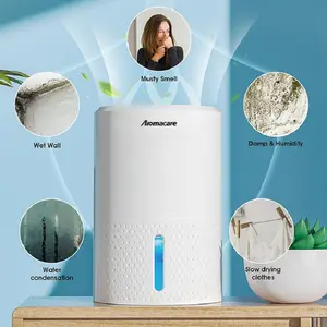 Pengering Udara Rumah Kecil Portabel Dehumidifier Rumah Dehumidifier