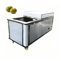 XINCHUAN Fabriek Leverancier Automatische Olijfpittenverwijderaar Longan Zaadverwijderingsmachine Motor Kerncomponent 380V Fruit Groente