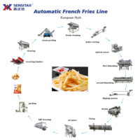 Ligne de production de frites entièrement automatique Sensitar 1500KG/H pour les usines de transformation alimentaire à grande échelle