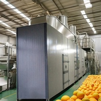 Automatische Fruitledermachine Fabriek Prijs 304 Roestvrijstalen Fruitroll Bar Droogmachine
