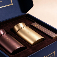 Boîte cadeau de luxe magnétique pour thé et café, boîte pliable en forme d'avion avec insert en velours pour boîte à thé et récipient à café