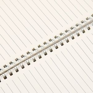 Factory direct supply of coil notebooks, advertising loose-leaf notebooks, custom notebooks, <b>notepads</b>, B5 diaries - Product Image 2