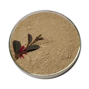 Phân bón Sản xuất nhà máy vi chất dinh dưỡng phân bón Micronized bột Diatomite phân bón với SiO2 Al2O3 Fe2O3 cao MgO