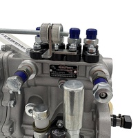 Bomba de Inyección de Combustible Mecánica Original Shandong Kangda de 4 Cilindros, Modelo BH4QT95R9 4QTE70 para Motor de Generador Diésel, 6 Meses de Garantía