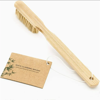 Brosses à motifs peints aléatoires, brosses peintes à la main, brosse d'escalade de 18 cm pour le nettoyage de tous les points d'escalade, brosse à craie