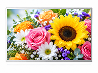 Pour LG 49 pouces TFT FHD WLED Module d'écran LCD avec 1500 nits de luminosité élevée LD490EPN-UKH1
