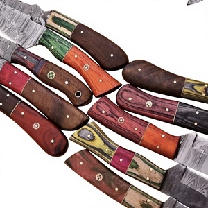 Rajput <b>Knives</b> Handcrafted Industrial Grade Damascus Steel Fixed Blade Hunter/Camping <b>Knife</b> Wood <b>Handle</b> Clip Point 20cm 3-Year - Product Image 3
