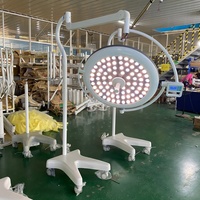 Lampe chirurgicale LED sans ombre, mobile, à lumière froide, haute fidélité des couleurs, pour clinique vétérinaire