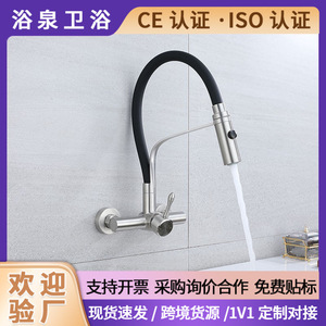 European Style Brushed Stainless Steel Kitchen Faucet Single Handle Flexible Deck Mounted With Ceramic Valve Core - Product Image 5