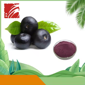 LongSheng Top Quality Orgânico Natural Em Pó 25% Antocianinas Açaí <span class=keywords><strong>Berry</strong></span> Extrato Em Pó - Product Image 6