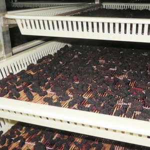 SARDiNE cá mực tôm Máy sấy khô dưa chuột biển công nghiệp máy sấy không khí nóng cho thực phẩm thịt - Product Image 5