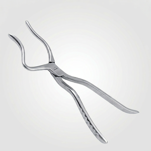 Forceps manuel d'excision dentaire en acier inoxydable Hasni, certifié CE, paiement par MoneyGram/Paypal/Western Union/méthode bancaire - Product Image 1