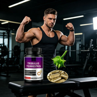 Complément Alimentaire Énergétique pour Adultes OEM, Extrait Herbal 500mg, Faible Teneur en Sucre, Capsules Naturelles de Tribulus Terrestris et de Racine de Maca en Poudre pour