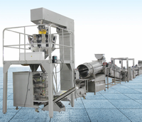 Industriële friteuse, multifunctioneel, automatisch, hoge capaciteit (100 kg), fruit- en groenteverwerkingslijn, food grade roestvrij staal