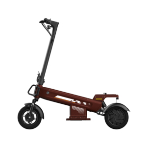 Scooter Eléctrico de Tres Ruedas Hikerboy <span class=keywords><strong>Dura</strong></span>, Marco de Aleación de Aluminio Al6061, Motor Dual de 250W, Scooter Eléctrico para Desplazamientos Urbanos - Product Image 1