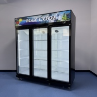 Réfrigérateur à boissons commercial à double paroi en verre, à température unique, pour supermarchés et restaurants, réfrigérateur à bouteilles de bière