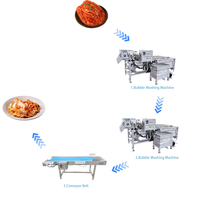 Ligne de machines automatiques de rinçage de cornichons pour la production de légumes déshydratés - Offre Spéciale