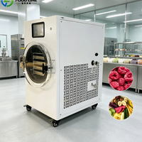 Hoge capaciteit kleine vriesdroogmachine: fruit, groente, snack dehydratatie kleine vriesdroogmachine