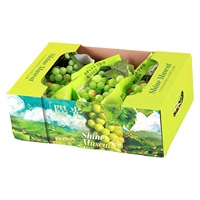 Boîte personnalisable d'emballage de raisin de carton ondulé-idéale pour protéger et montrer les raisins frais,