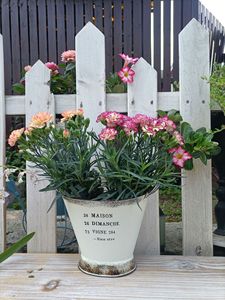 Bac à fleurs en fer épaissi de style <span class=keywords><strong>japonais</strong></span>, à double poignée, écoresponsable, idéal pour les jardins domestiques – Meilleures ventes - Product Image 3