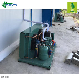 Comida de logística de la cadena de frío de fase única habitación fría precio compresor/portátil de almacenamiento en frío unidades para la venta - Product Image 3