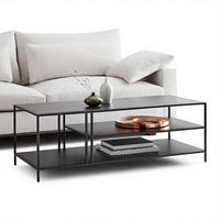 Table basse en métal design moderne pour salon, table basse en acier, vente chaude
