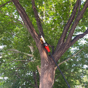 Sécateur de pompe à huile automatique de moteur sans balais de Branches hautes de scie de poteau de batterie au Lithium de 21V pour le travail de jardin - Product Image 2