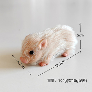Juguete de Cerdo de <span class=keywords><strong>Silicona</strong></span> Realista, Mini Cerdo de <span class=keywords><strong>Silicona</strong></span> Ecológico, Juguete Antiestrés para Decoración del Hogar y la Oficina - Product Image 1
