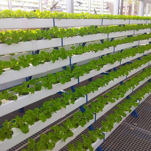 Serre NFT pour micro-légumes, canal NFT en PVC, <span class=keywords><strong>hydroponie</strong></span> - Product Image 4