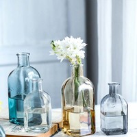 Récipient d'arrangement de fleurs hydroponiques transparent, décoration de vase en verre de petit calibre dans le salon