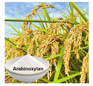 Экстракт рисовых отрубей Арабиноксилан травяной экстракт витаминный порошок 50 г/100 г мешок - Product Image 4