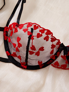 Wholesale Heart Embroidery Lace Lingerie <b>Set</b> <b>Sexy</b> Sheer Mesh Underwire Bra and Tie Side Thong Panties <b>Set</b> 2 Piece Intimates <b>Set</b> - Product Image 5