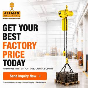 Paranco Elettrico a Catena ALLMAN da 0,5, 1 e 3 Tonnellate, Certificato CE, Grado di Lavoro <span class=keywords><strong>M4</strong></span>, 400V, Alta Prestazione per Sollevamento Industriale - Product Image 6