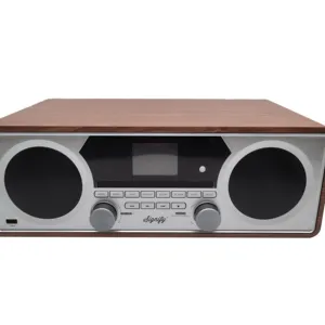 Retro Vintage Wooden Rechargeable USB FM AM Radio/Retro Vinyl Multifunction Record Player