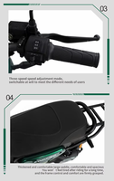 Vélo électrique Paige OEM/ODM 48V 1000W 20Ah à assistance au pédalage, moteur sans balais, longue autonomie, pour adultes, usage urbain, nouveau