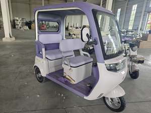 Kanopi <span class=keywords><strong>Trike</strong></span> kargo listrik 1000W, daya Motor 1000W, kapasitas muatan 400kg, bahan baja 60v, sepeda roda tiga penumpang - Product Image 6