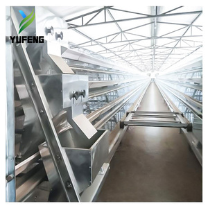 Cage à poules de type A pour poules pondeuses, cage en batterie 3-4 niveaux, capacité 90-160 poules, système d'alimentation automatique, vente en gros - Product Image 2