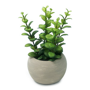 <span class=keywords><strong>Olivier</strong></span> artificiel sans entretien, bonsaï, plantes artificielles dans un <span class=keywords><strong>pot</strong></span> <span class=keywords><strong>en</strong></span> pulpe de ciment avec <span class=keywords><strong>terre</strong></span> simulée <span class=keywords><strong>pour</strong></span> la décoration du salon et de la ferme - Product Image 1