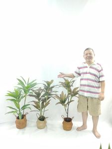 Décoration artificielle de haute qualité simulation de bonsaï <span class=keywords><strong>en</strong></span> plastique Codyline 90cm 32 feuilles couleur d'<span class=keywords><strong>automne</strong></span> - Product Image 4