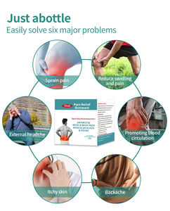 Lijitang Polyarthrite Rhumatoïde Crème Douleurs musculaires Douleur lombaire Synovite Arthrose Articulation Engourdissement Soulager Crème - Product Image 2