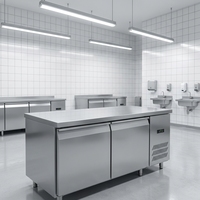 Table de travail réfrigérée sous comptoir avec 2 portes, refroidissement direct par air, pour conservation des aliments frais