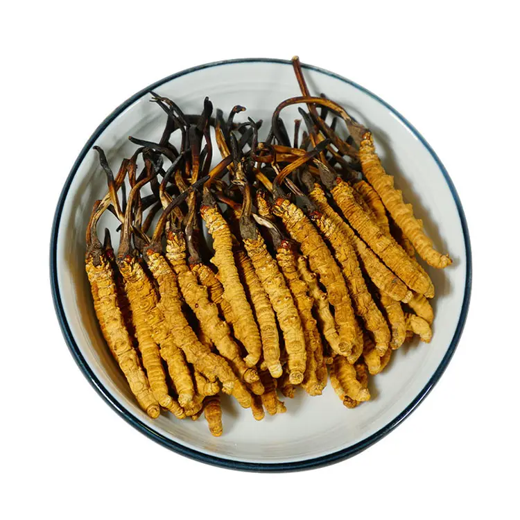 Nagqu Superior Tiens complex cordyceps longrich Organic Dried Tibet Cordyceps militaris