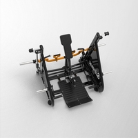 Machine à Rameur Incliné Multi-Fonctionnelle de Haute Qualité à Angles Réglables et à Charge de Plaques pour l'Entraînement de la Force du Dos