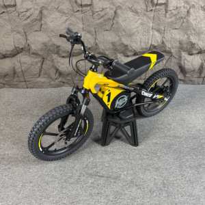 Bicicleta Eléctrica Infantil de Carreras para Niños, Bicicleta Eléctrica Infantil de Alta Calidad, Bicicleta Segura con Frenos Hidráulicos V2 de Aleación de Aluminio - Product Image 5