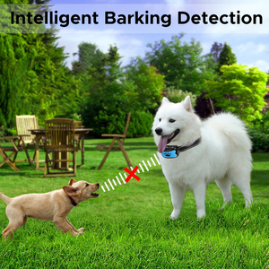 2025 thông minh GPS con chó hàng rào GPS không dây con chó hàng rào hệ thống mà không cần đăng ký - Product Image 3