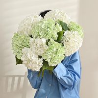 Arrangement de fleurs artificielles de luxe fait main, Anthurium tropical et Monstera, pour la décoration de la maison, du salon, du canapé et de la table d'appoint