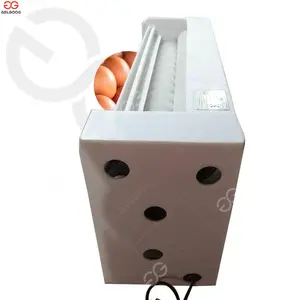 egg washing machine for sale